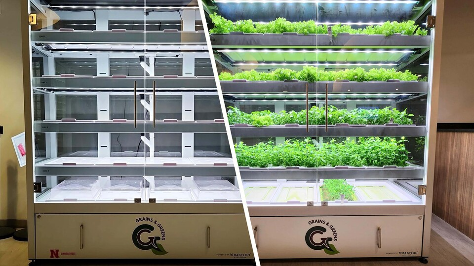 Micro-farm brings sustainable produce to Selleck Food Court