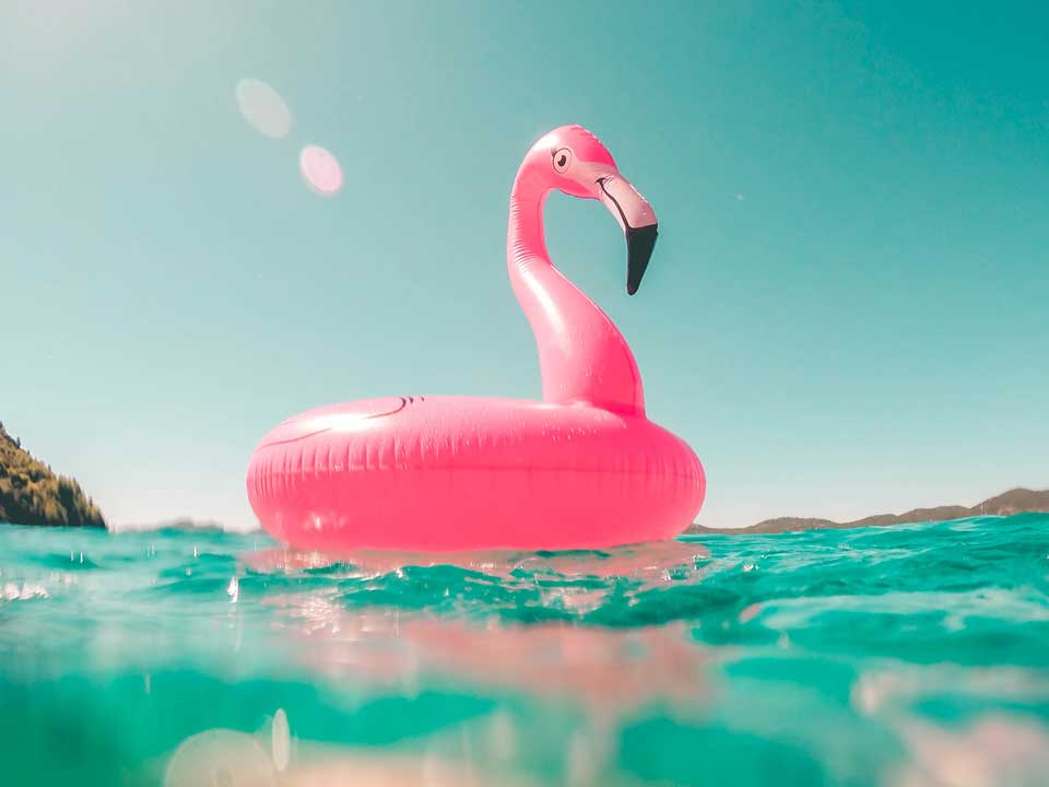 Inflatable flamingo floaty sits in swimming pool