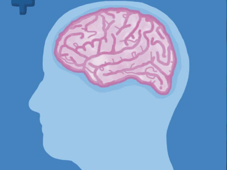 Brain graphic