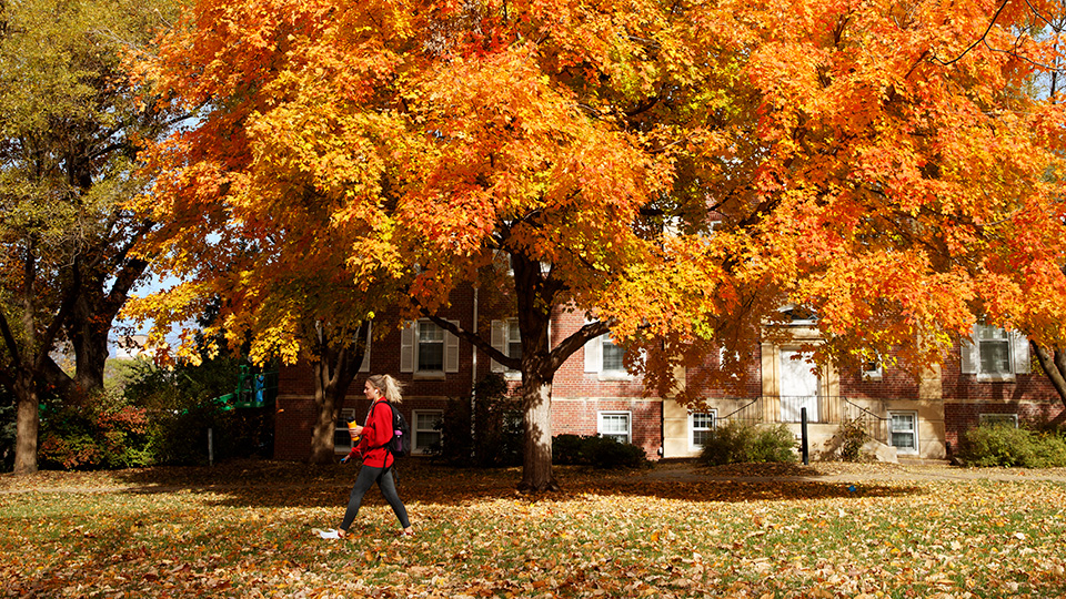 Autumn foliage on east campus. [Craig Chandler | University Communication and Marketing]