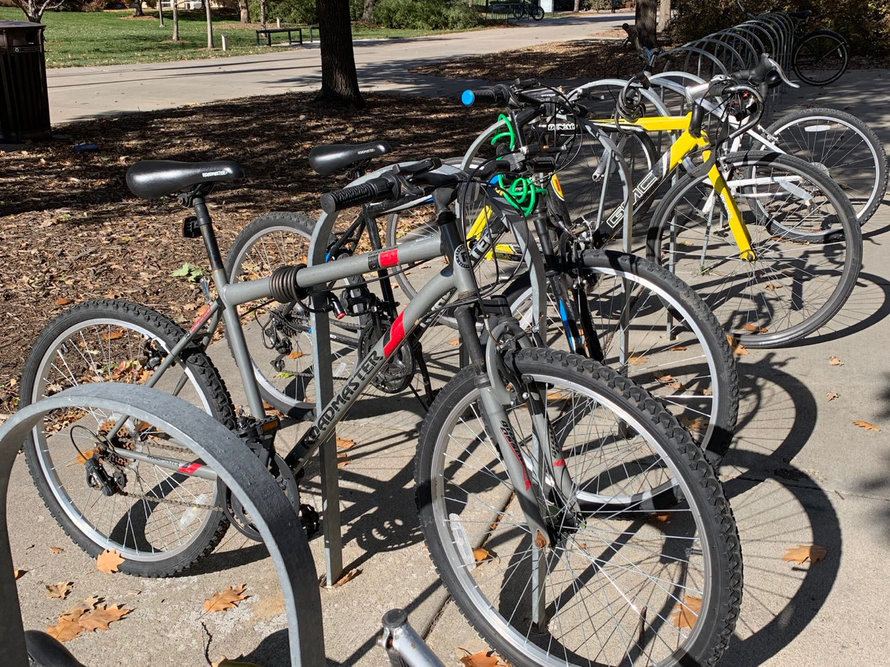 Bikes in racks on campus