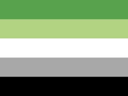 LGBTQA Flag Aromantic
