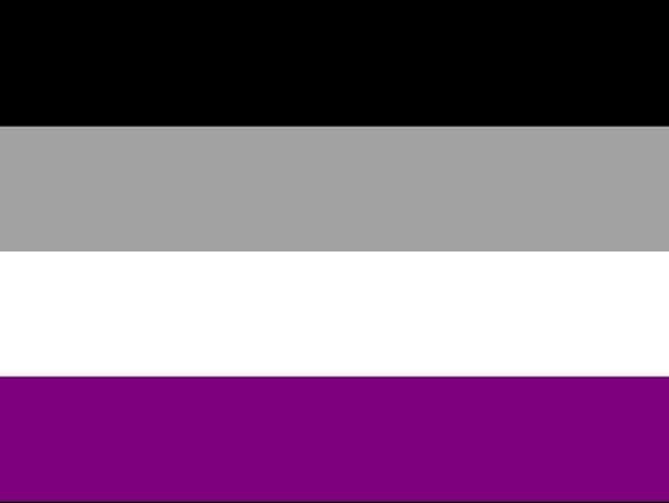 LGBTQA Flag Asexual