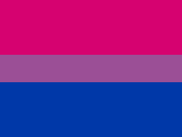 LGBTQA Flag Bisexual