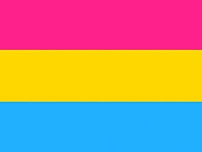 LGBTQA Flag Pansexual