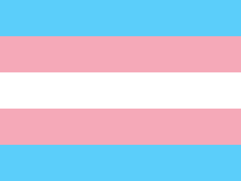 LGBTQA Flag Transgender