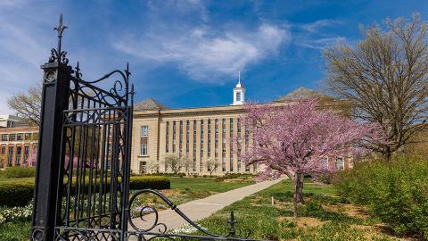 Spring on city campus. April 18, 2023. [Photo by Craig Chandler | University Communication & Marketing]