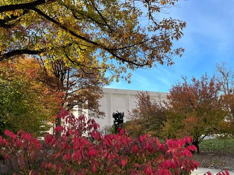 Campus leaves near Sheldon Art Museum