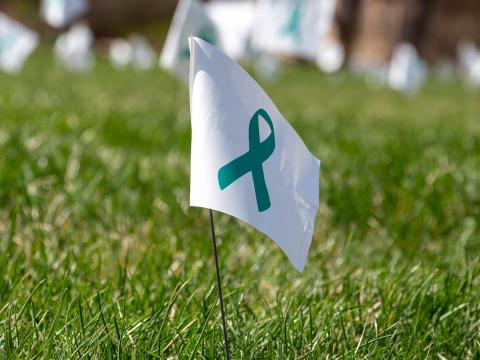 Teal ribbon on lawn flag for sexual assault awareness