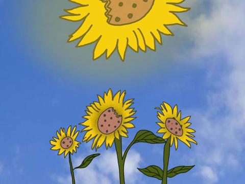 Sunflower images [Art by Alec Gettert | Daily Nebraskan]