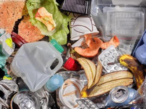 Food waste items in garbage bin